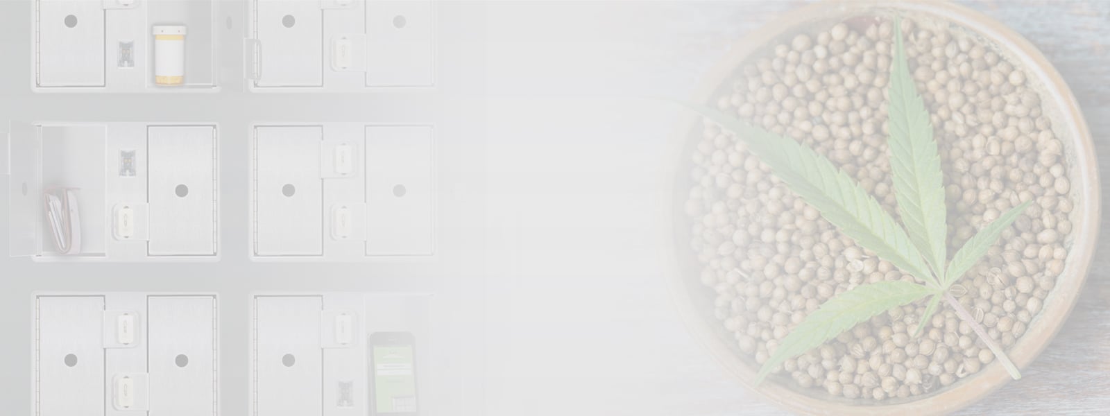 cannabis-market-header