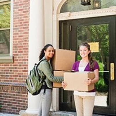 Higher Education