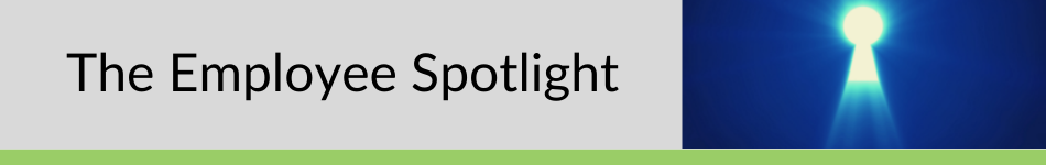 The Employee Spotlight-1