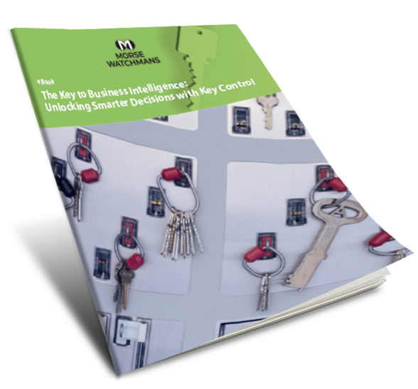 MW Business Intelligence E-book-Cover Image